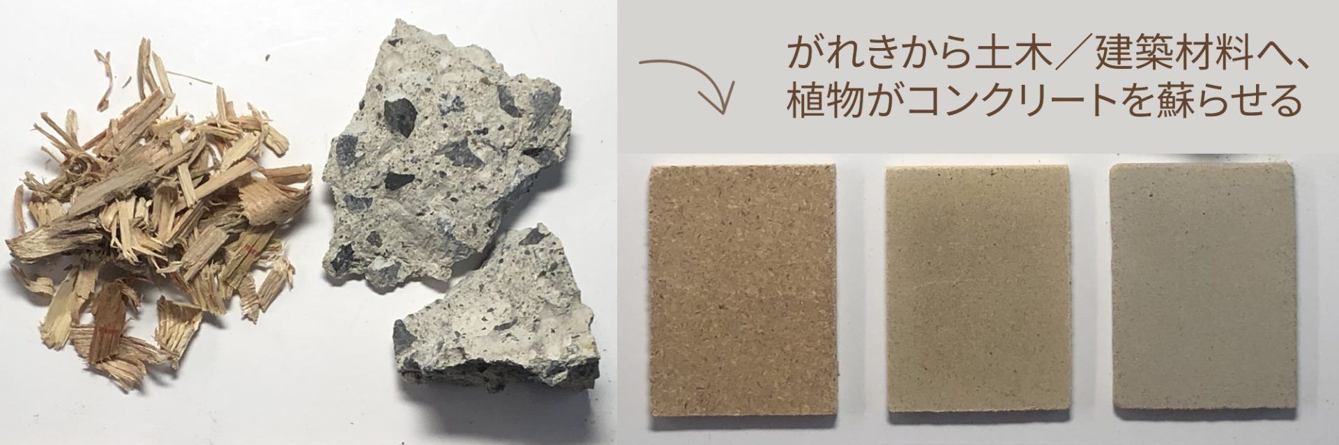 がれきから土木／建築材料へ、植物がコンクリートを蘇らせる