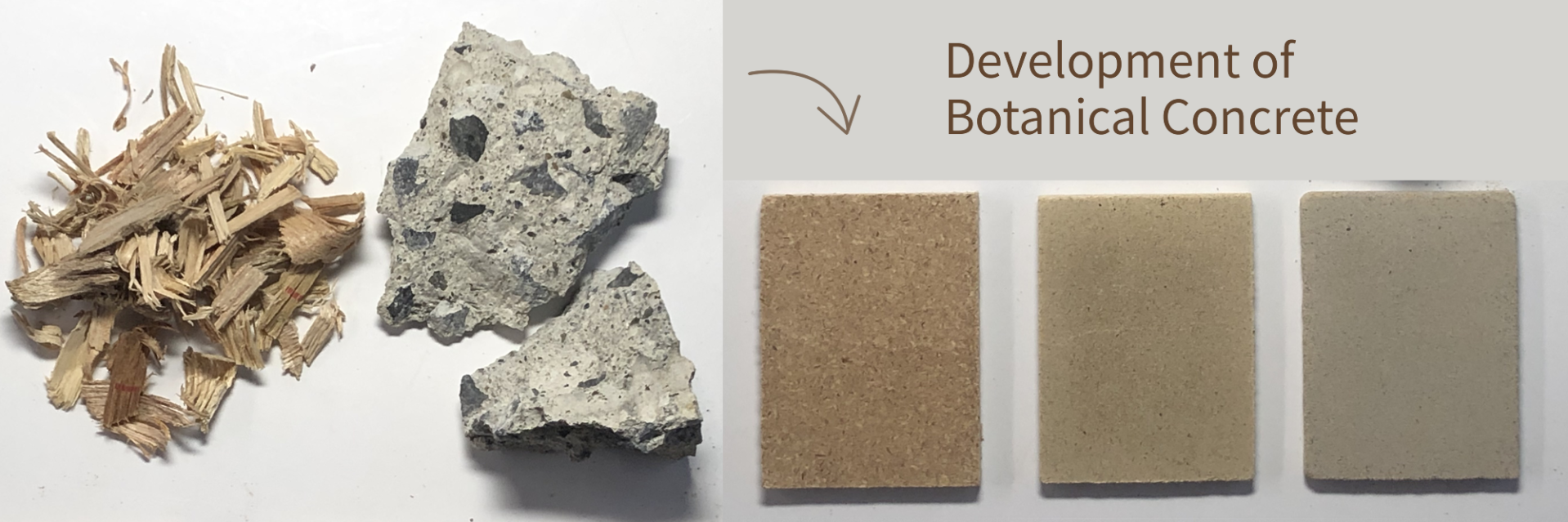 Development of Botanical Concrete